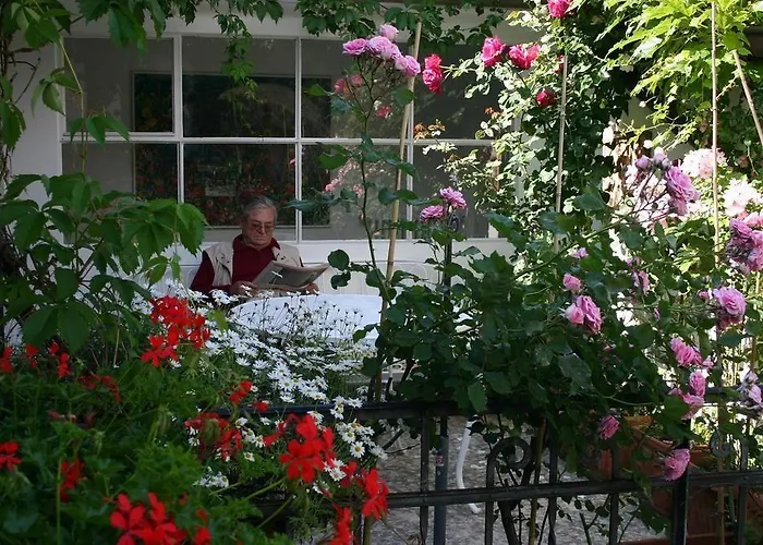 Olevano Maison d'hôtes 3*